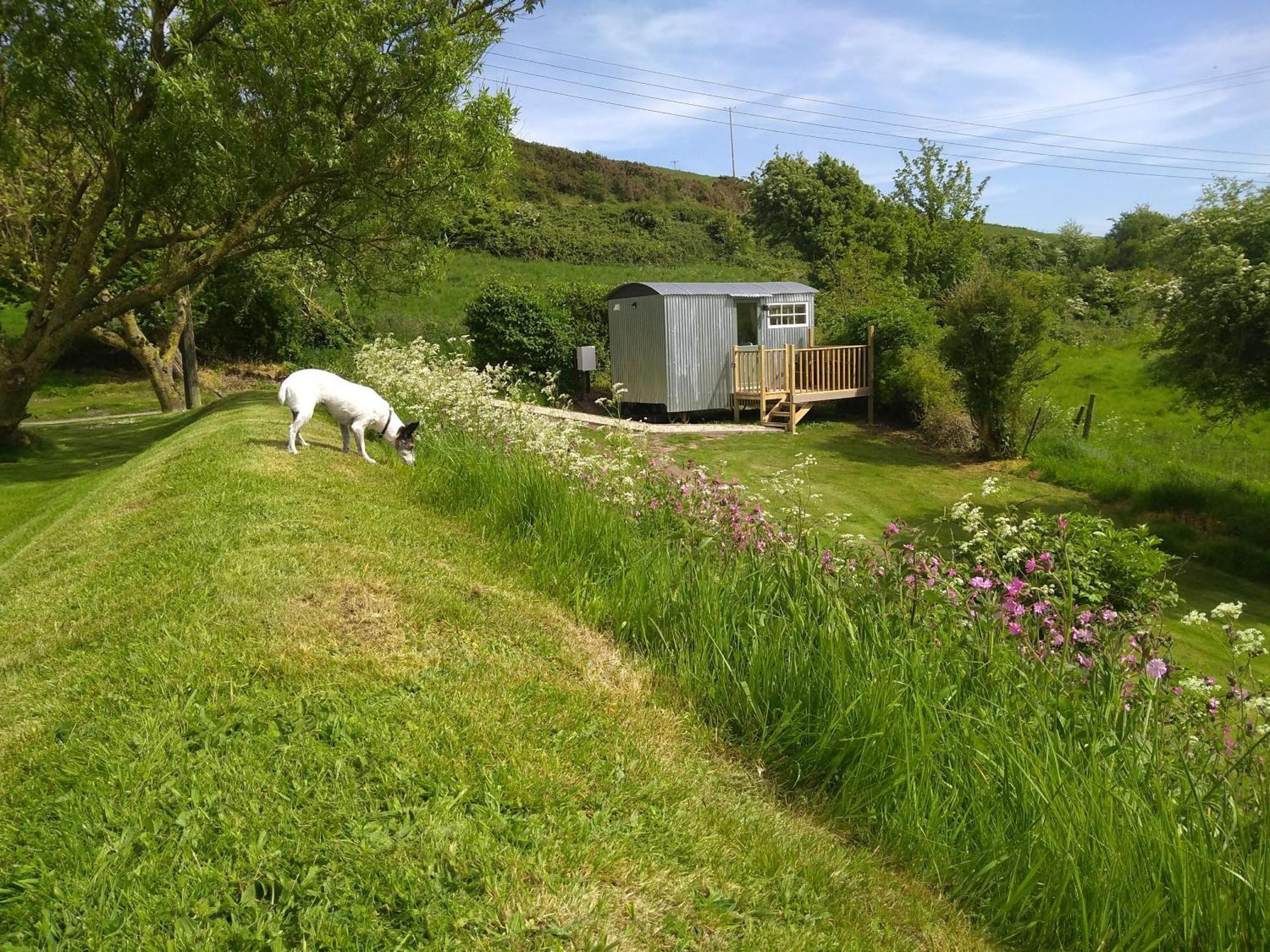 Shepherds Hut เวย์มัธ ภายนอก รูปภาพ